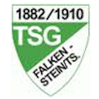 Vereinslogo von Turn- und Sportgemeinschaft Falkenstein e.V.